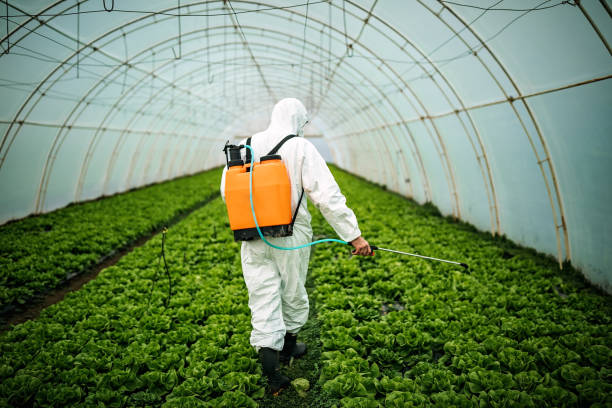 Best Best Pest Control Companies  in Solomons, MD