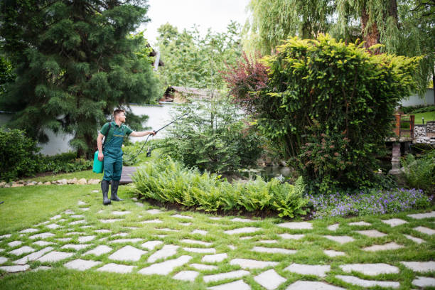 Best Best Pest Control Companies  in Solomons, MD
