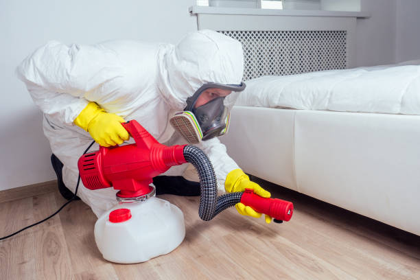 Best Pest Prevention Services  in Solomons, MD