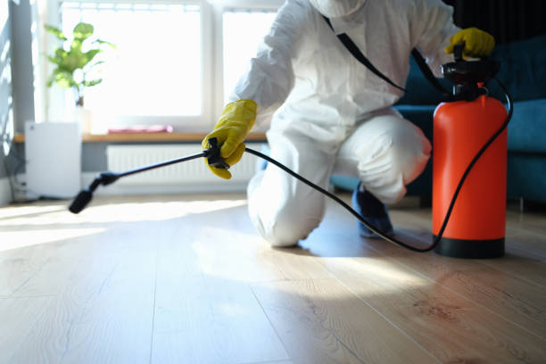 Wildlife Control Services in Solomons, MD