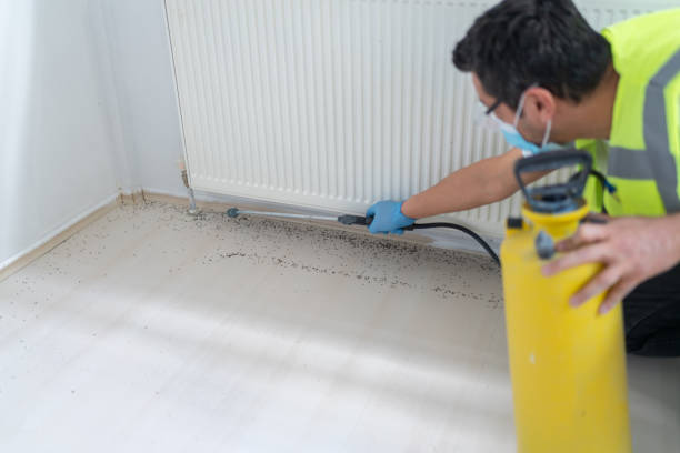 Best Affordable Pest Control Services  in Solomons, MD